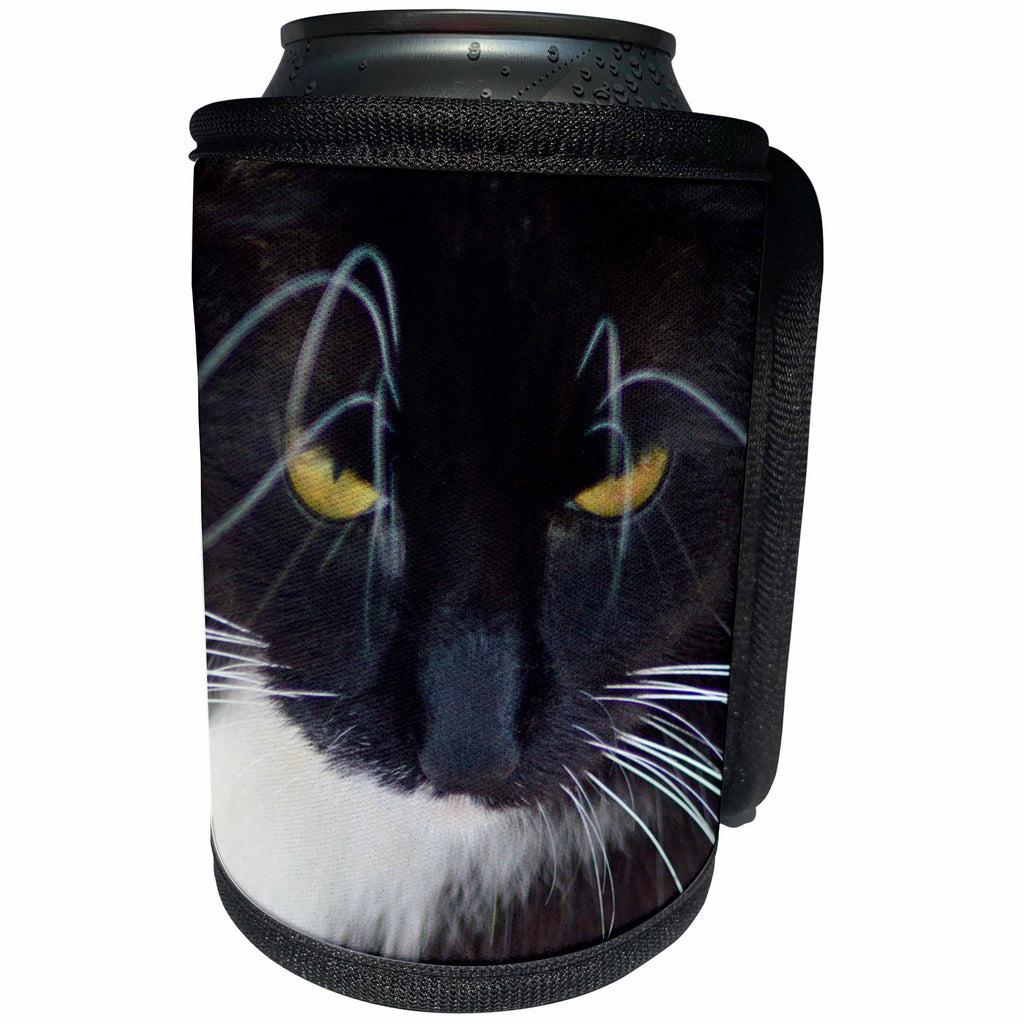 3dRose Beverly Turner Cat Photography - Extra Close up of Black and White Cat, Golden Eyes, White, Whiskers - Can Cooler Bottle Wrap (cc_254504)