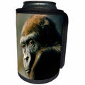 3dRose Monkey - Gorilla Portrait - Can Cooler Bottle Wrap (cc_2546)