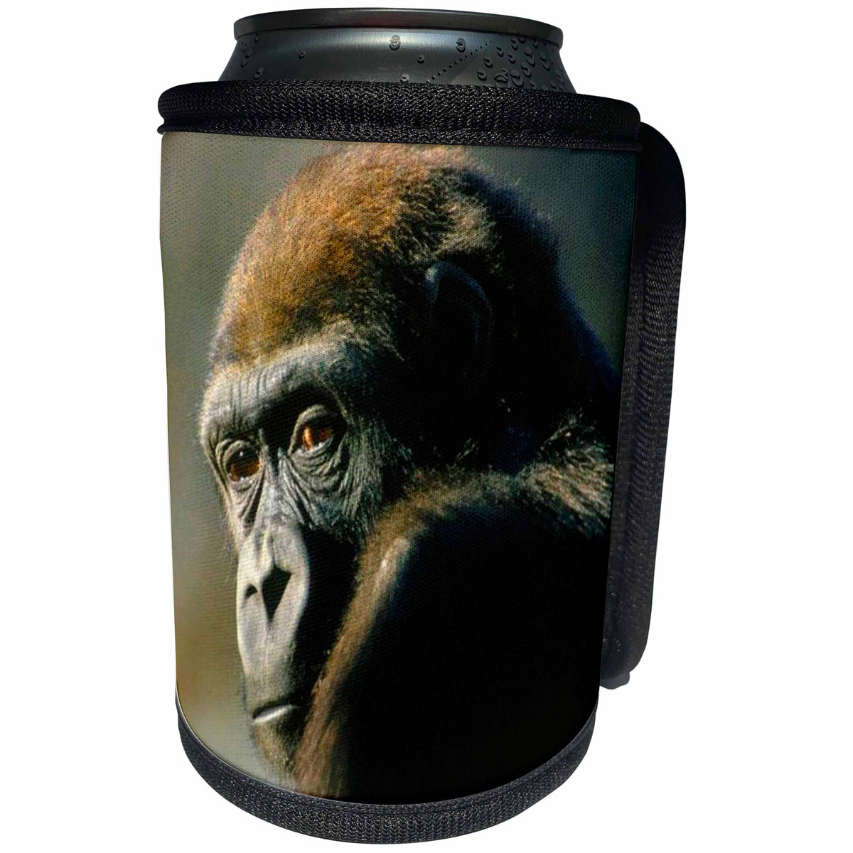 3dRose Monkey - Gorilla Portrait - Can Cooler Bottle Wrap (cc_2546)