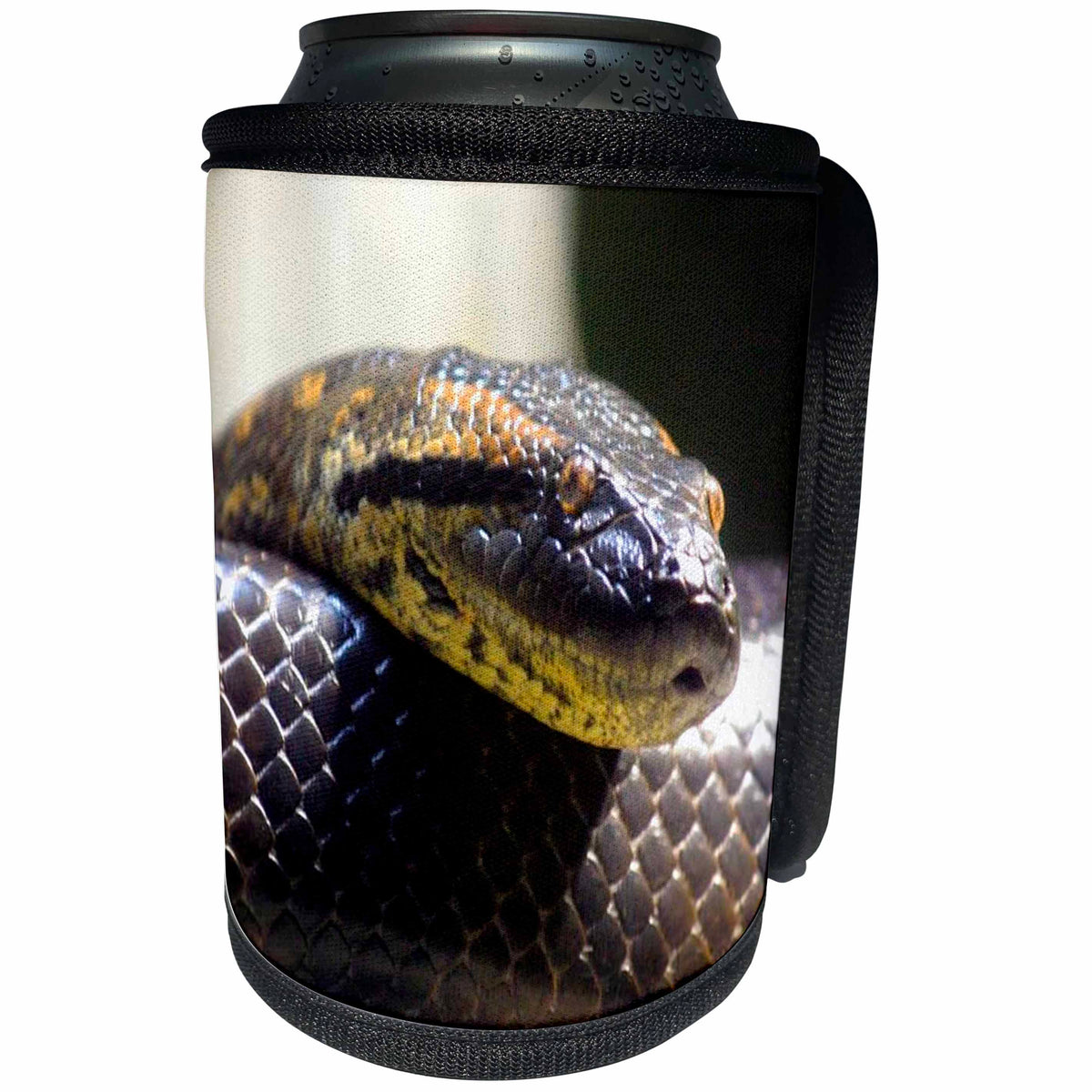 3dRose Snakes - Snake Portrait - Can Cooler Bottle Wrap (cc_2548)