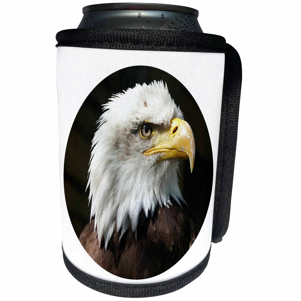 3dRose Anne Marie Baugh - Photography - Bald Eagle Photograph Set In A Circle - Can Cooler Bottle Wrap (cc_254931)