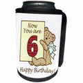 3dRose Russ Billington Teddy Bears - Happy Sixth Birthday with Tartan Numeral One Teddy Bear - Can Cooler Bottle Wrap (cc_255167)