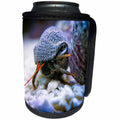 3dRose Boehm Photography Animal - Dwarf Red Tip Hermit Crab - Can Cooler Bottle Wrap (cc_255251)
