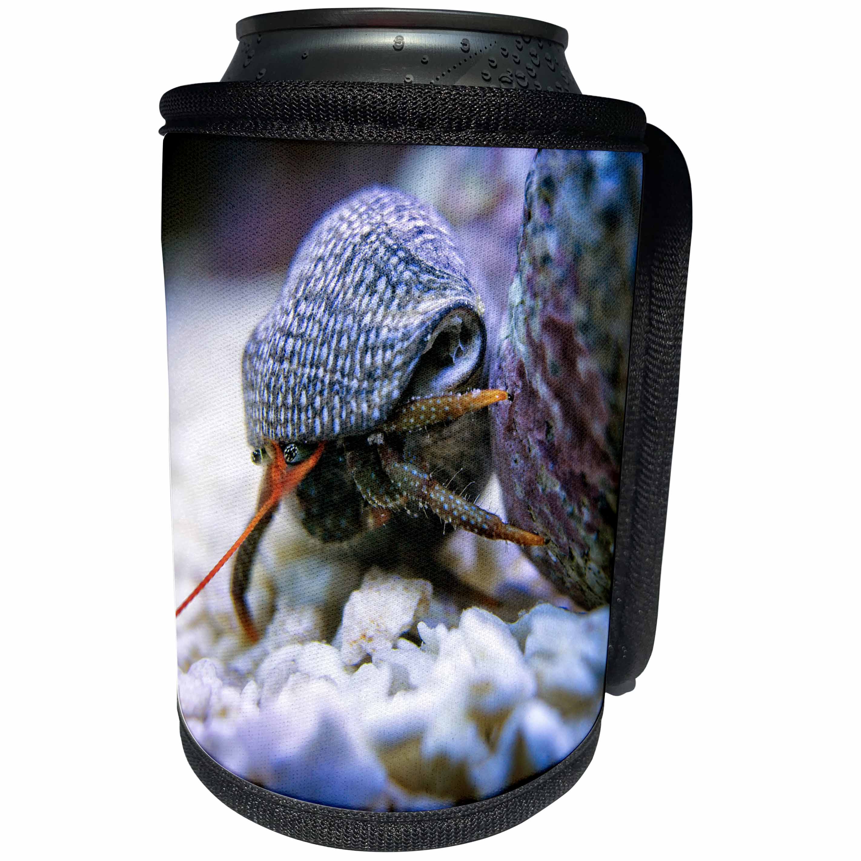 3dRose Boehm Photography Animal - Dwarf Red Tip Hermit Crab - Can Cooler Bottle Wrap (cc_255251)