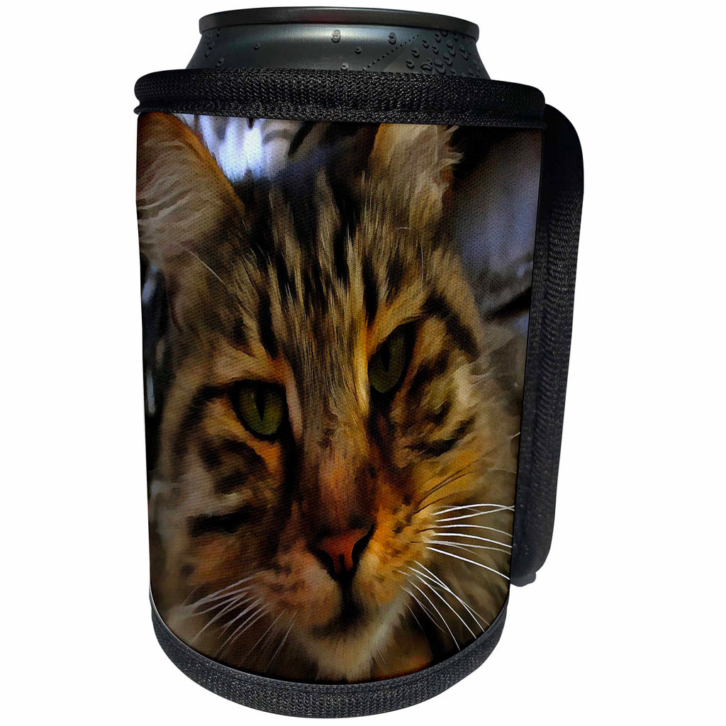 3dRose Taiche - Acrylic Painting - Tabby Cat - Curious Cat - Can Cooler Bottle Wrap (cc_255263)
