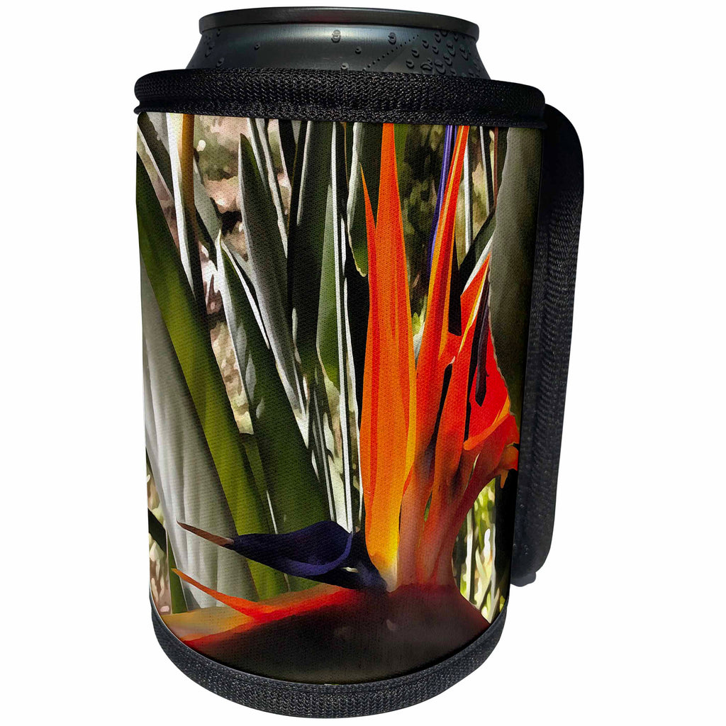 3dRose Taiche - Acrylic Painting - Sretlitzia - Bird of Paradise Strelitzia - Can Cooler Bottle Wrap (cc_255265)