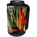 3dRose Taiche - Acrylic Painting - Sretlitzia - Bird of Paradise Strelitzia - Can Cooler Bottle Wrap (cc_255265)