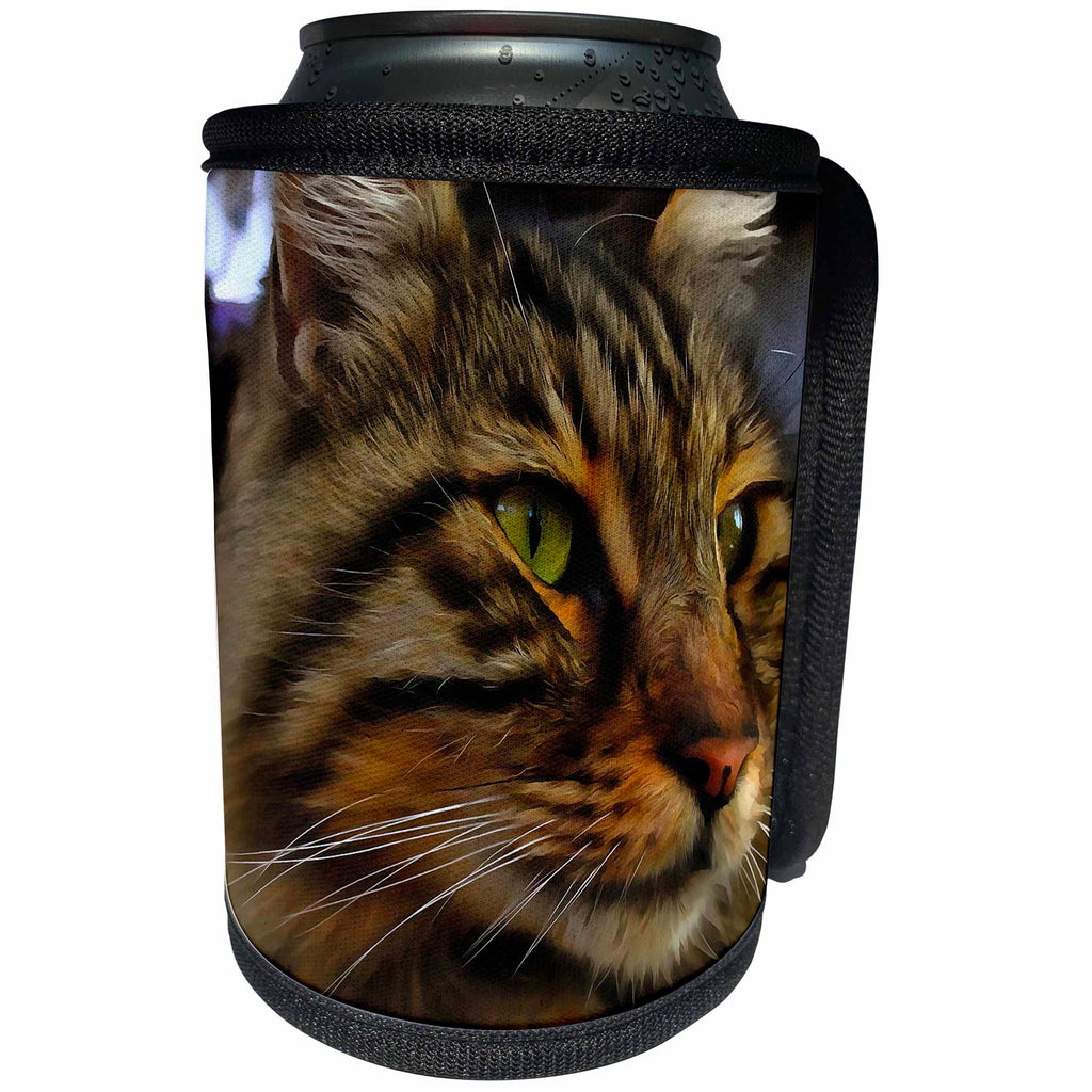3dRose Taiche - Acrylic Painting - Tabby Cat - Aslan The Long Haired Tabby Cat - Can Cooler Bottle Wrap (cc_255270)