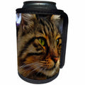 3dRose Taiche - Acrylic Painting - Tabby Cat - Aslan The Long Haired Tabby Cat - Can Cooler Bottle Wrap (cc_255270)