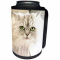 3dRose Painting of Persian Cat - Image of Painting Of Persian Cat - Can Cooler Bottle Wrap (cc_255365)