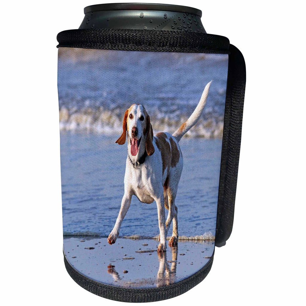 3dRose Dog Beagle - Image of Beautiful Beagle On the Beach - Can Cooler Bottle Wrap (cc_255367)