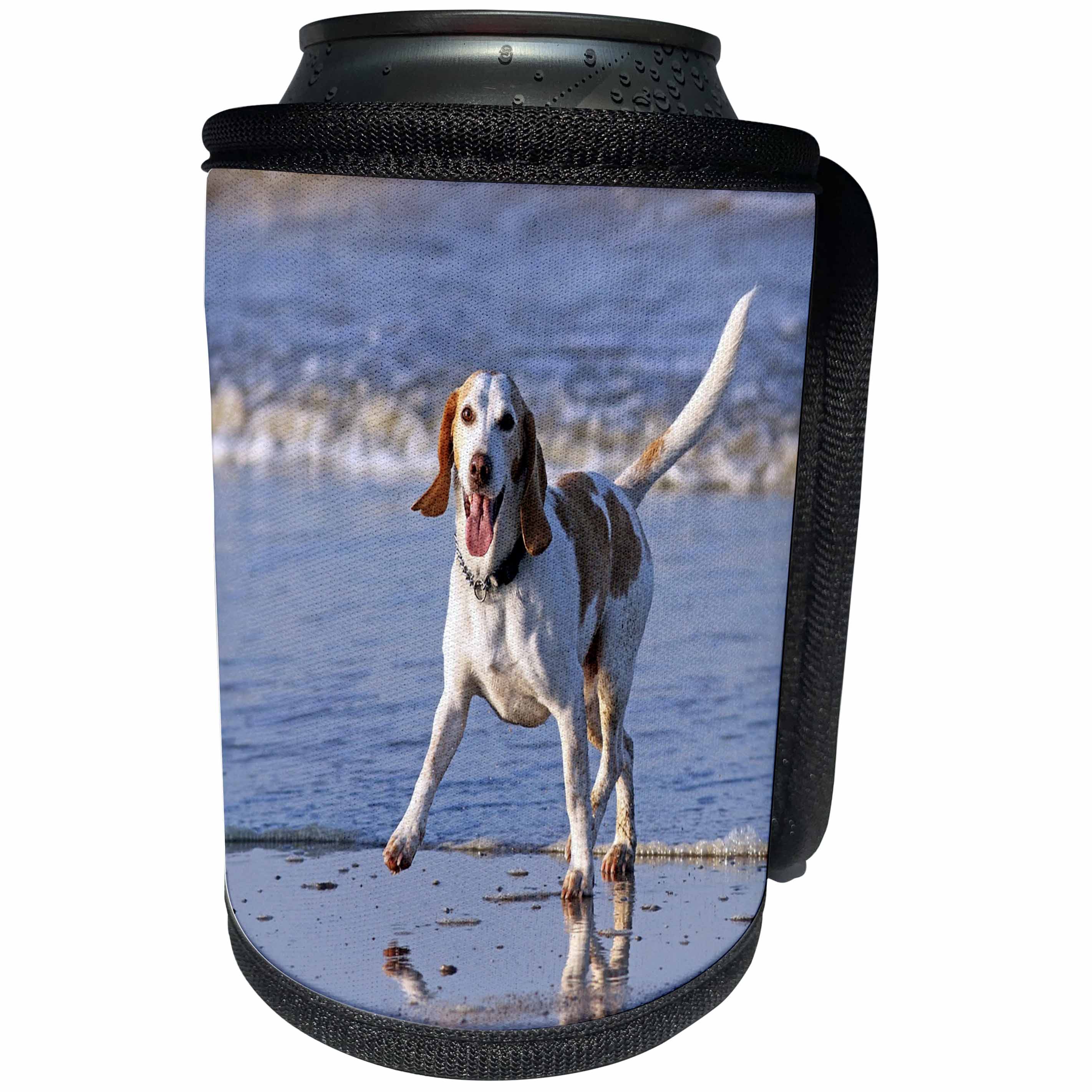 3dRose Dog Beagle - Image of Beautiful Beagle On the Beach - Can Cooler Bottle Wrap (cc_255367)