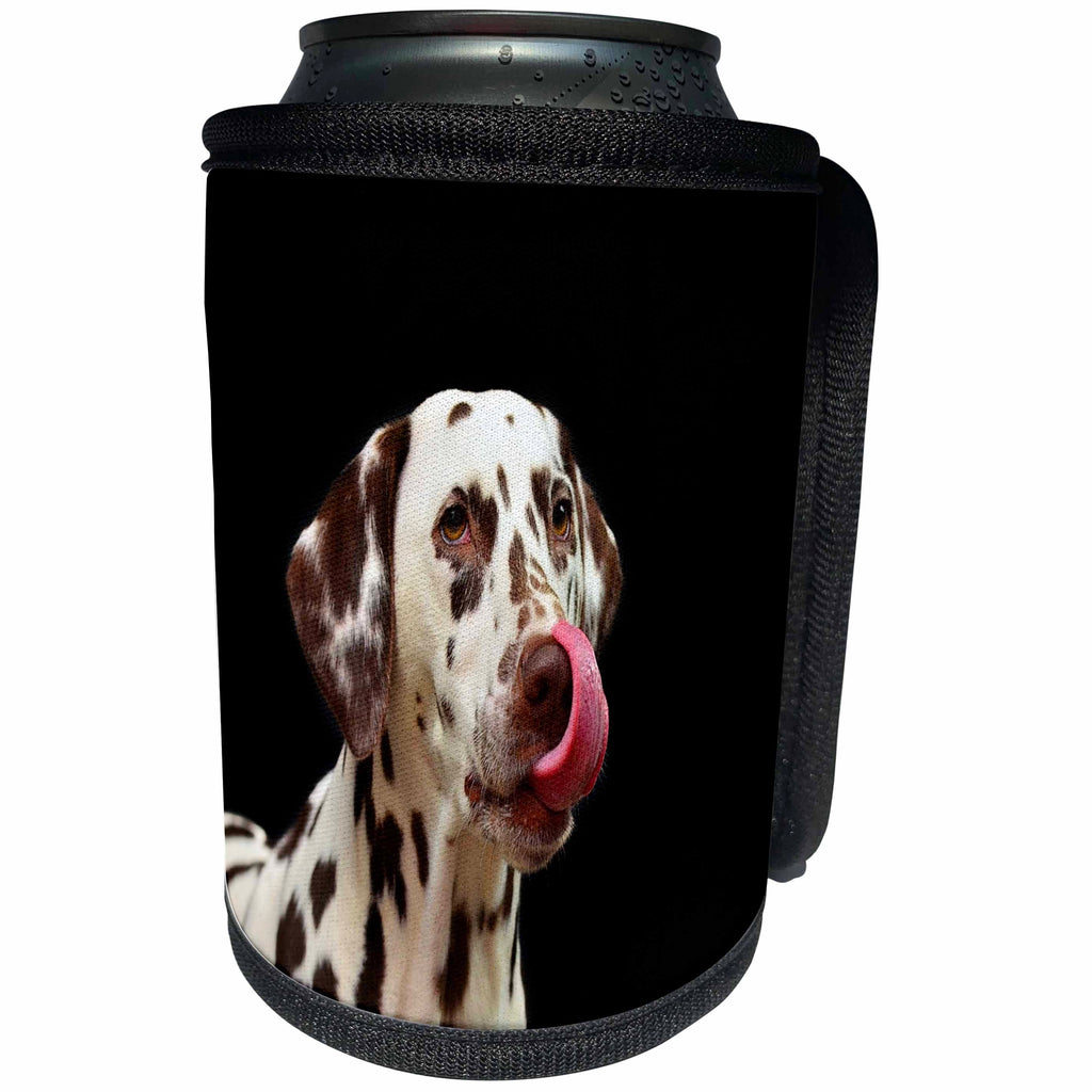 3dRose Dog Dalmatian - Image of Dalmatian Portrait With Cute Tongue Rolled Up - Can Cooler Bottle Wrap (cc_255368)