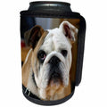 3dRose Dog English Bulldog - Image of English Bulldog Portrait - Can Cooler Bottle Wrap (cc_255369)