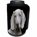 3dRose Dog Weimaraner - Image of Handsome Weimaraner Portrait - Can Cooler Bottle Wrap (cc_255370)