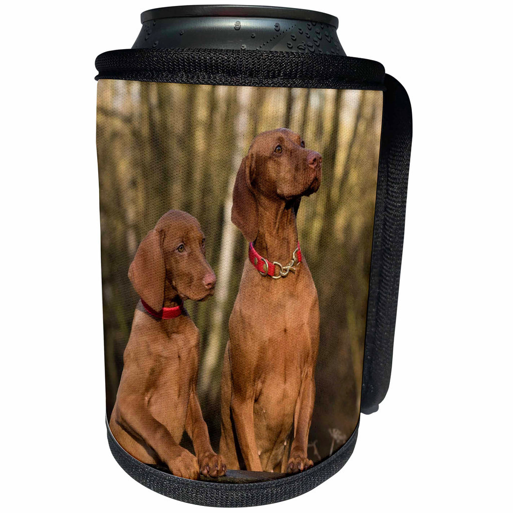 3dRose Dog Viszlas - Image of Two Proud Viszlas Portrait - Can Cooler Bottle Wrap (cc_255371)