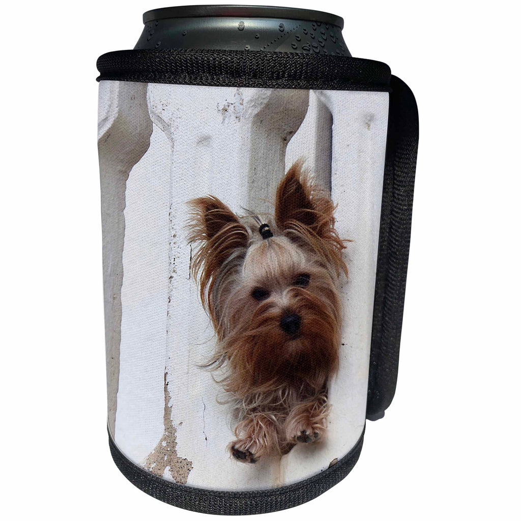 3dRose Dog Yorkie - Image of Yorkie Between Cement Railing - Can Cooler Bottle Wrap (cc_255374)