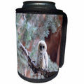 3dRose All Things Mexican - Image of Cute Mexican Spotted Owl - Can Cooler Bottle Wrap (cc_255507)