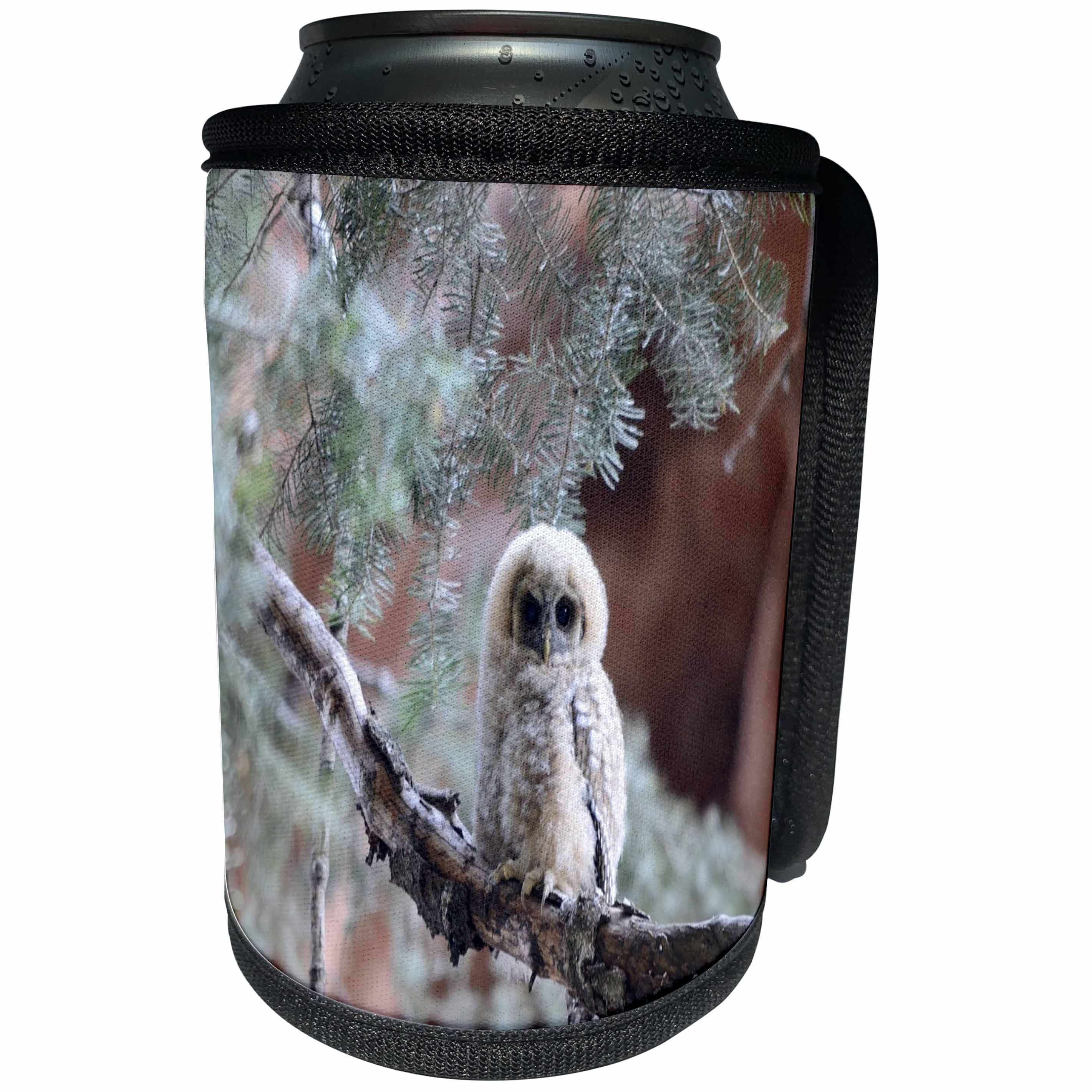 3dRose All Things Mexican - Image of Cute Mexican Spotted Owl - Can Cooler Bottle Wrap (cc_255507)