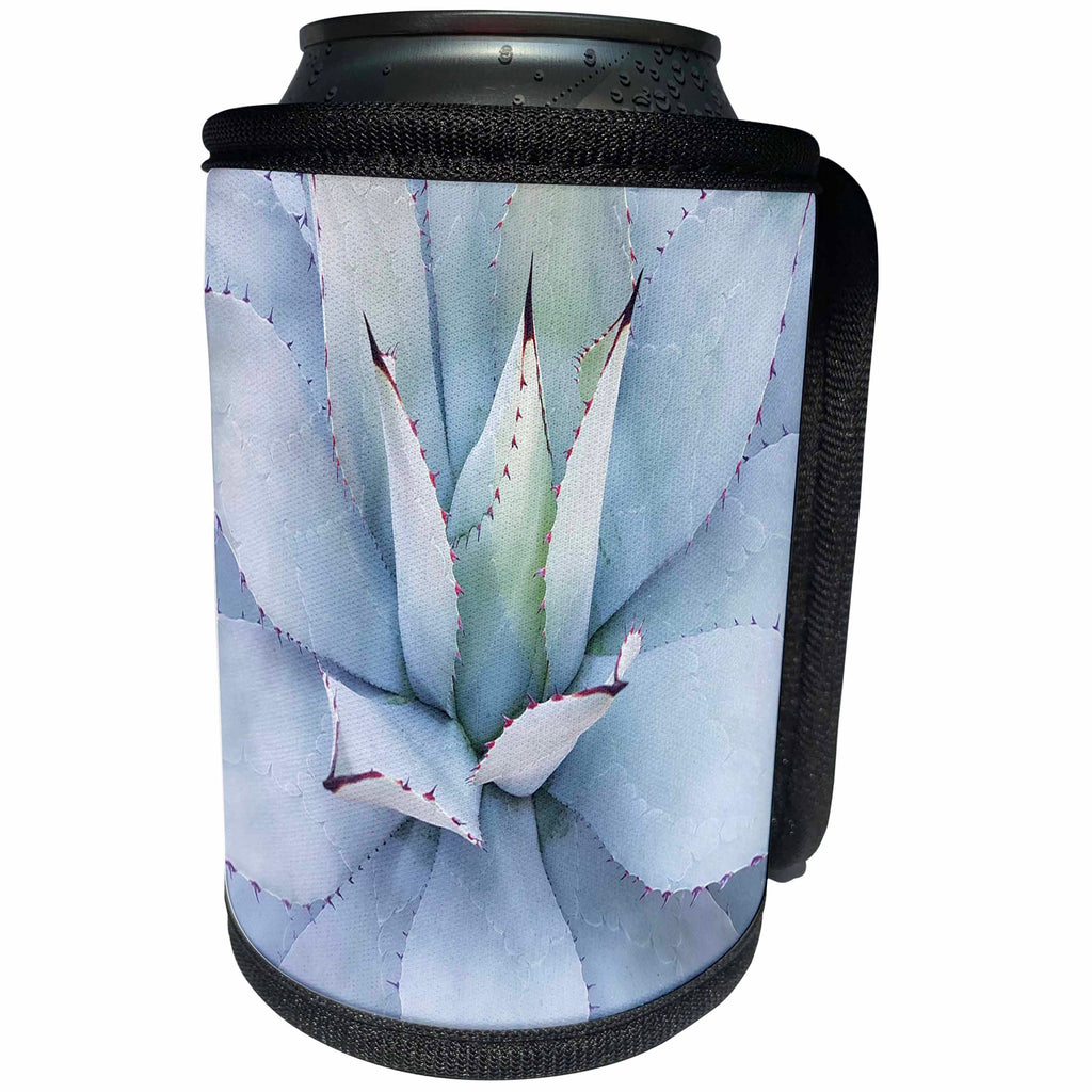 3dRose All Things Mexican - Image of Beautiful Mexican Blue Cactus - Can Cooler Bottle Wrap (cc_255513)