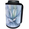 3dRose All Things Mexican - Image of Beautiful Mexican Blue Cactus - Can Cooler Bottle Wrap (cc_255513)