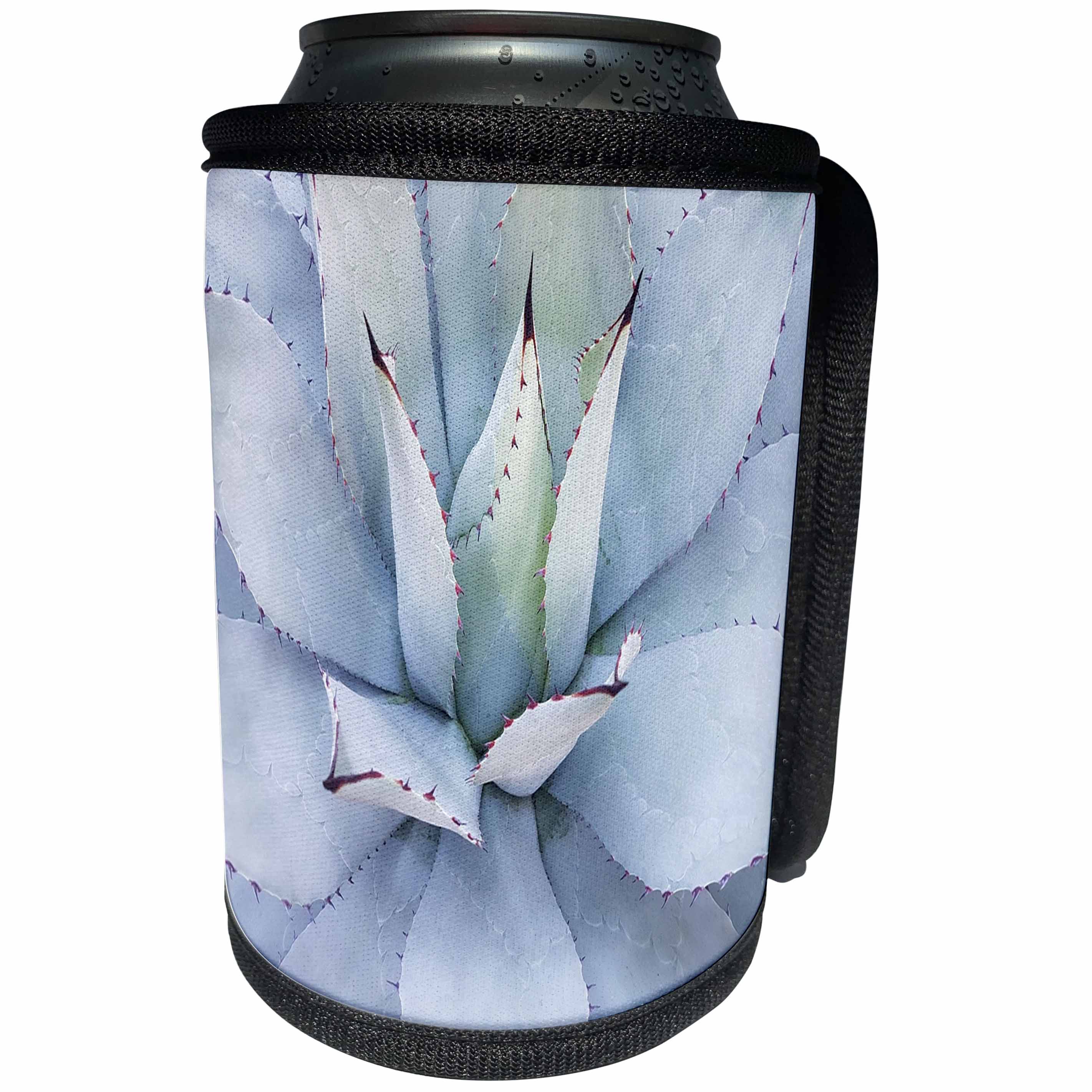 3dRose All Things Mexican - Image of Beautiful Mexican Blue Cactus - Can Cooler Bottle Wrap (cc_255513)