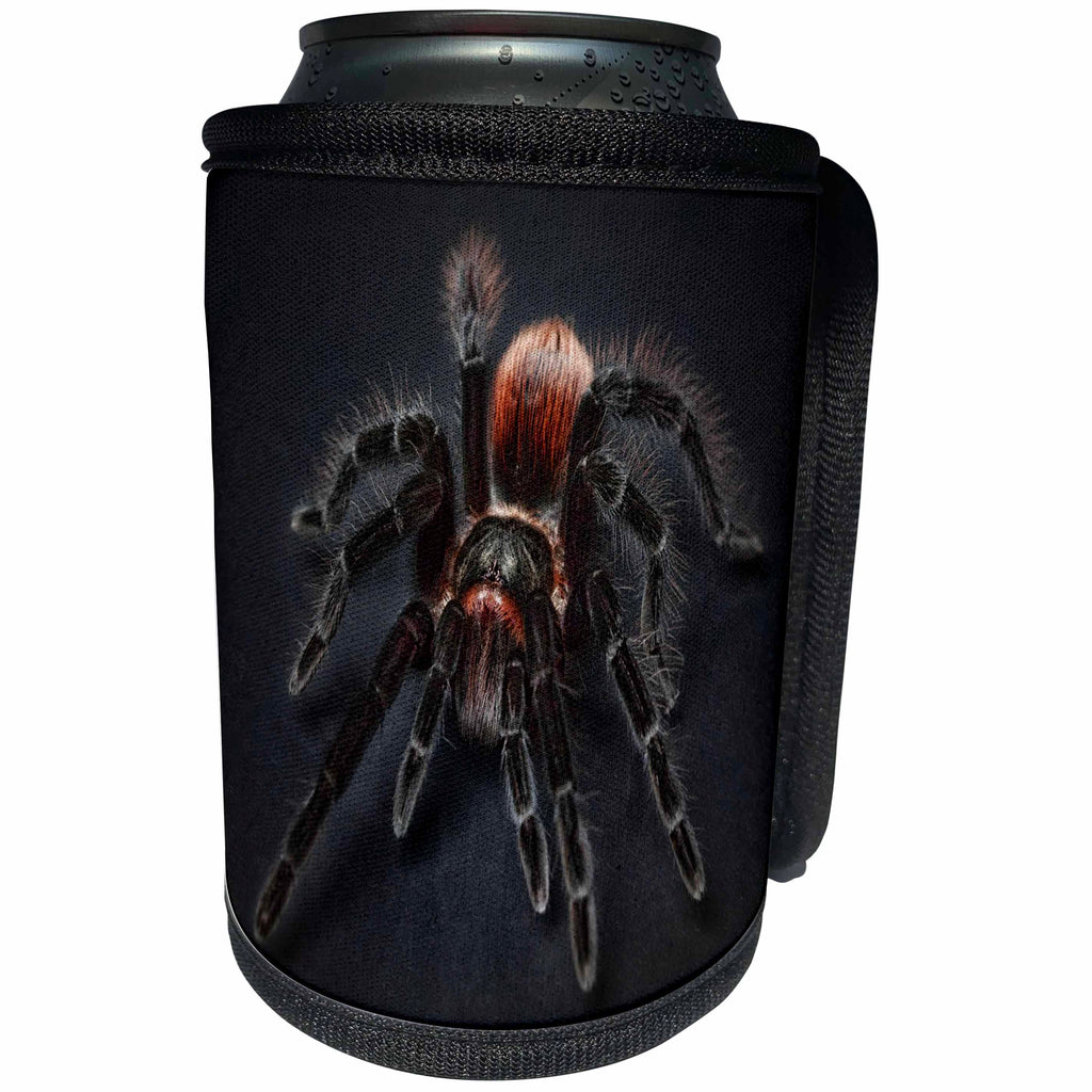 3dRose All Things Mexican - Image of Closeup Of Deadly Mexican Tarantula - Can Cooler Bottle Wrap (cc_255518)