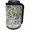 3dRose Florida - Image of Group Of Florida Starfish - Can Cooler Bottle Wrap (cc_255542)