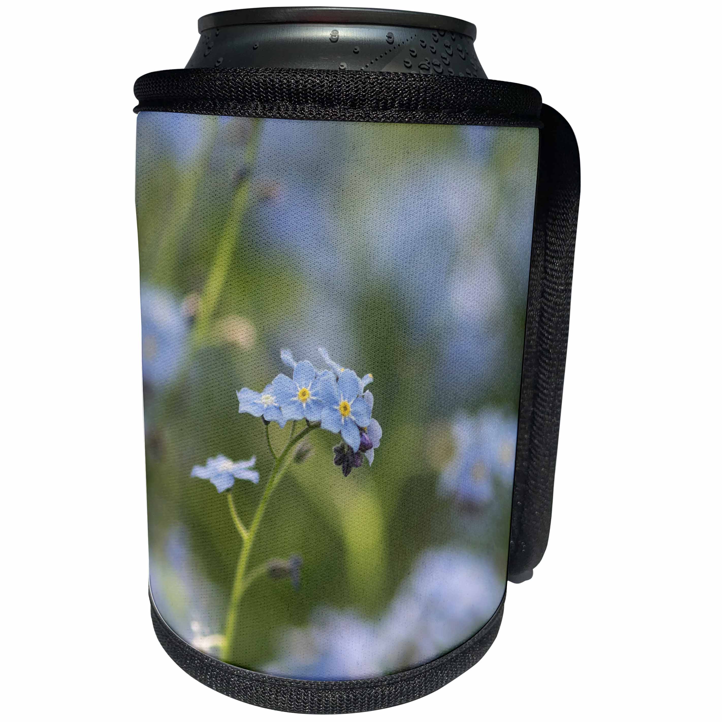 3dRose Uta Naumann Photography Flowers - Forget-me-not Blue Flower in Spring - Can Cooler Bottle Wrap (cc_255555)