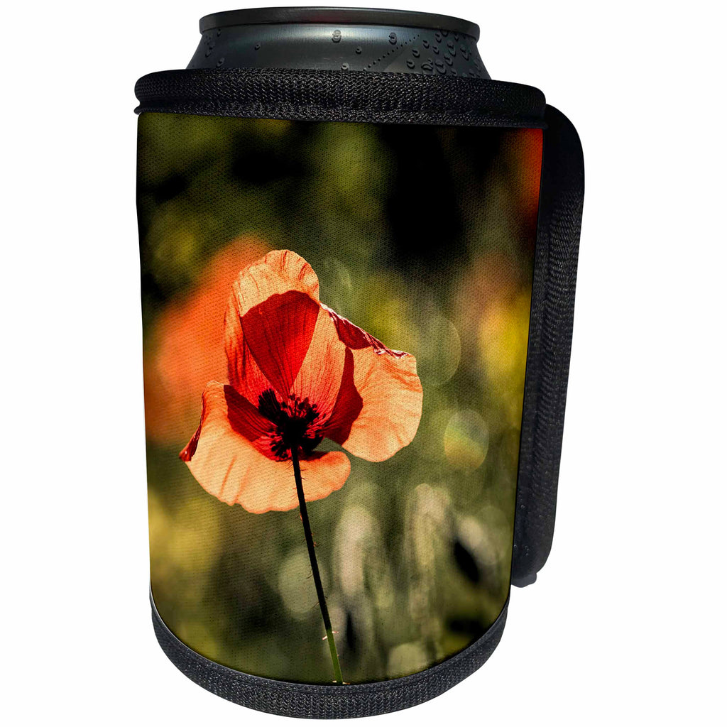 3dRose Uta Naumann Photography Flowers - Red Poppy Poppies Summer Flower - Can Cooler Bottle Wrap (cc_255557)