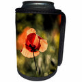 3dRose Uta Naumann Photography Flowers - Red Poppy Poppies Summer Flower - Can Cooler Bottle Wrap (cc_255557)