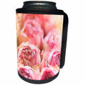 3dRose Uta Naumann Photography Flowers - Basket with Dry Pink Roses Floral Still-Life - Can Cooler Bottle Wrap (cc_255563)