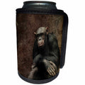 3dRose Uta Naumann Photography Animal - Africa Animal Monkey in Zoo - Can Cooler Bottle Wrap (cc_255564)