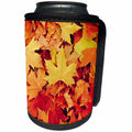 3dRose Uta Naumann Photography Flowers - Autumn Colorful Leaves Leaf Season - Can Cooler Bottle Wrap (cc_255584)