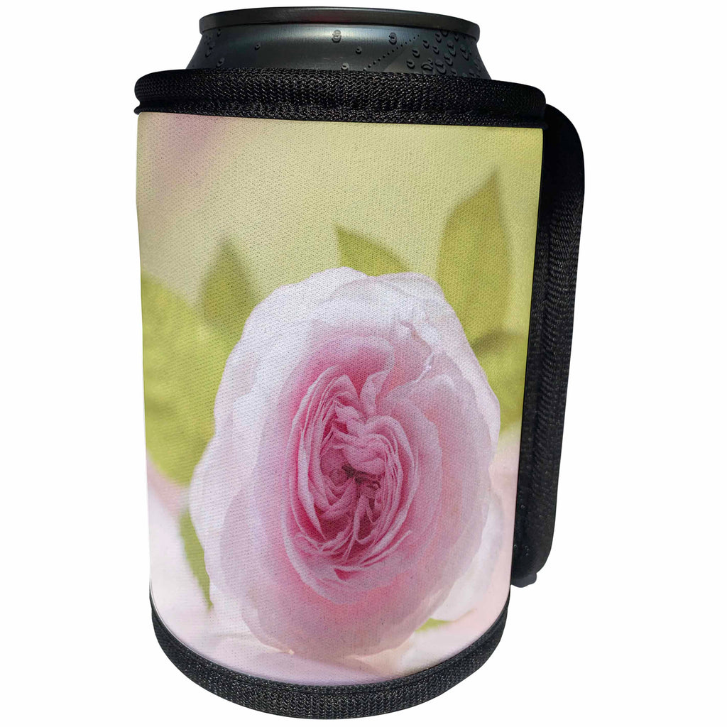 3dRose Uta Naumann Photography Flowers - Tender Floral Rose Blossom Still Life - Can Cooler Bottle Wrap (cc_255596)