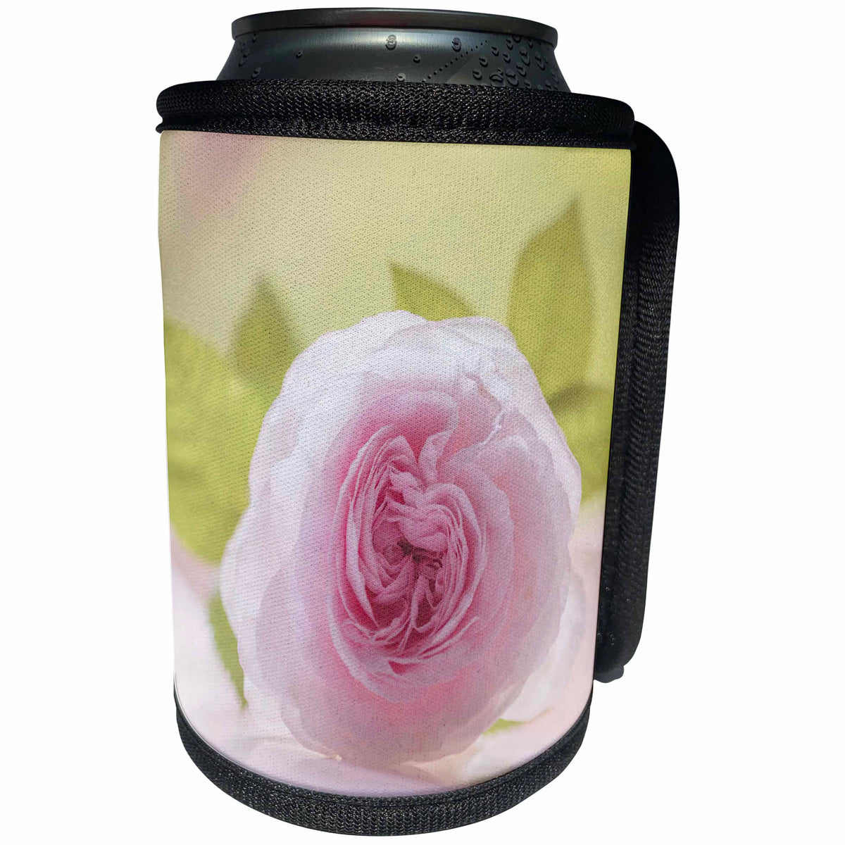 3dRose Uta Naumann Photography Flowers - Tender Floral Rose Blossom Still Life - Can Cooler Bottle Wrap (cc_255596)