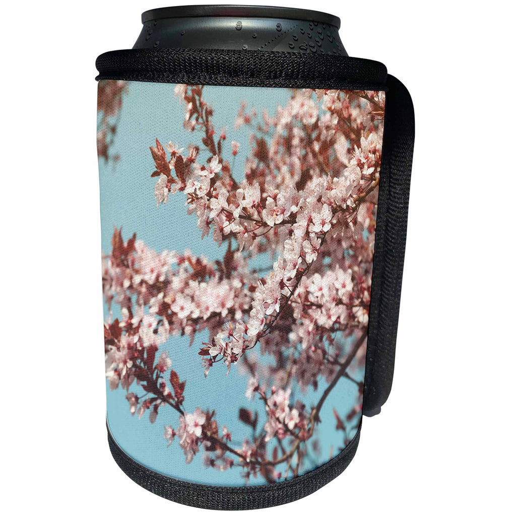 3dRose Uta Naumann Photography Flowers - Pink Cherry Blossoms Sakura with Blue Sky - Can Cooler Bottle Wrap (cc_255599)