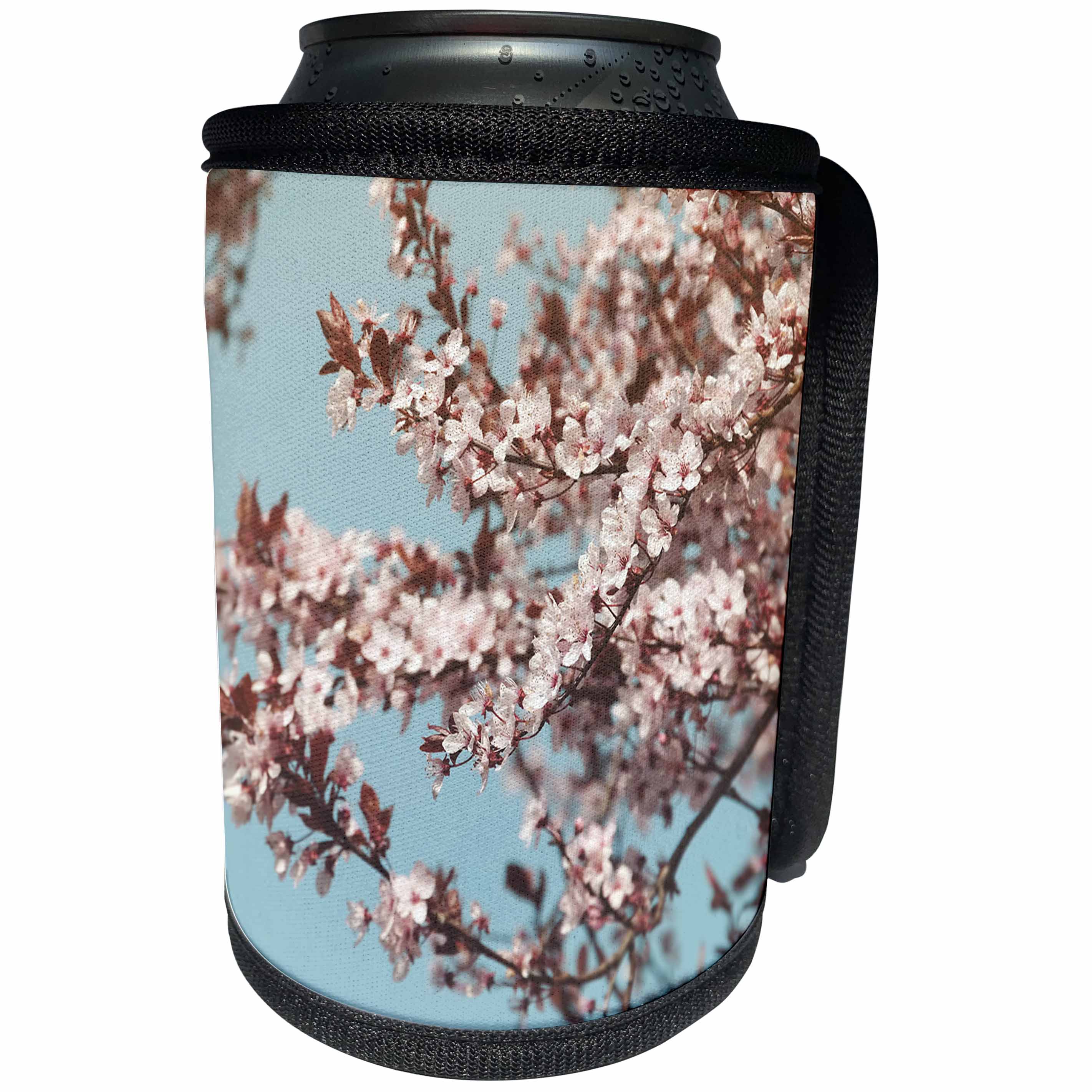 3dRose Uta Naumann Photography Flowers - Pink Cherry Blossoms Sakura with Blue Sky - Can Cooler Bottle Wrap (cc_255599)