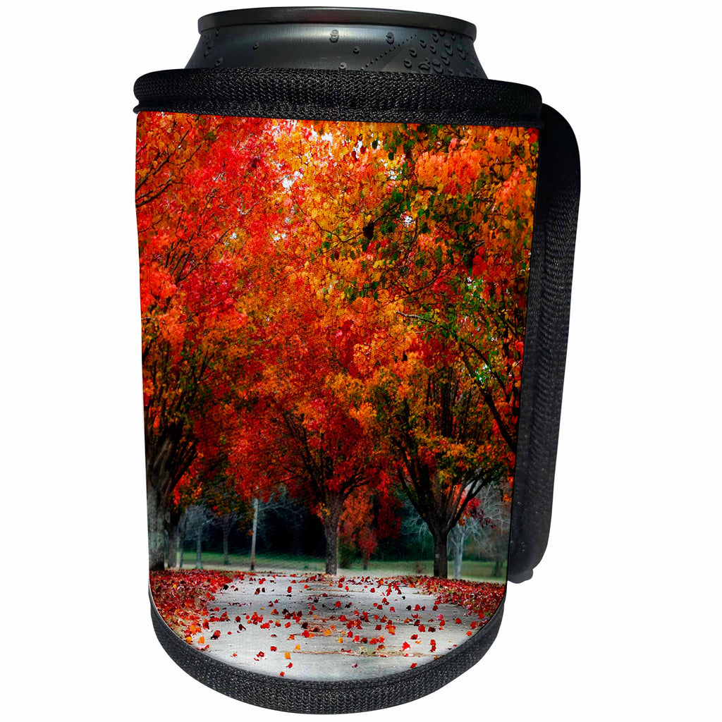 3dRose Uta Naumann Photography Landscapes - autumn Season Red and Colorful Trees and Leaves - Can Cooler Bottle Wrap (cc_255614)