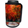 3dRose Uta Naumann Photography Landscapes - autumn Season Red and Colorful Trees and Leaves - Can Cooler Bottle Wrap (cc_255614)
