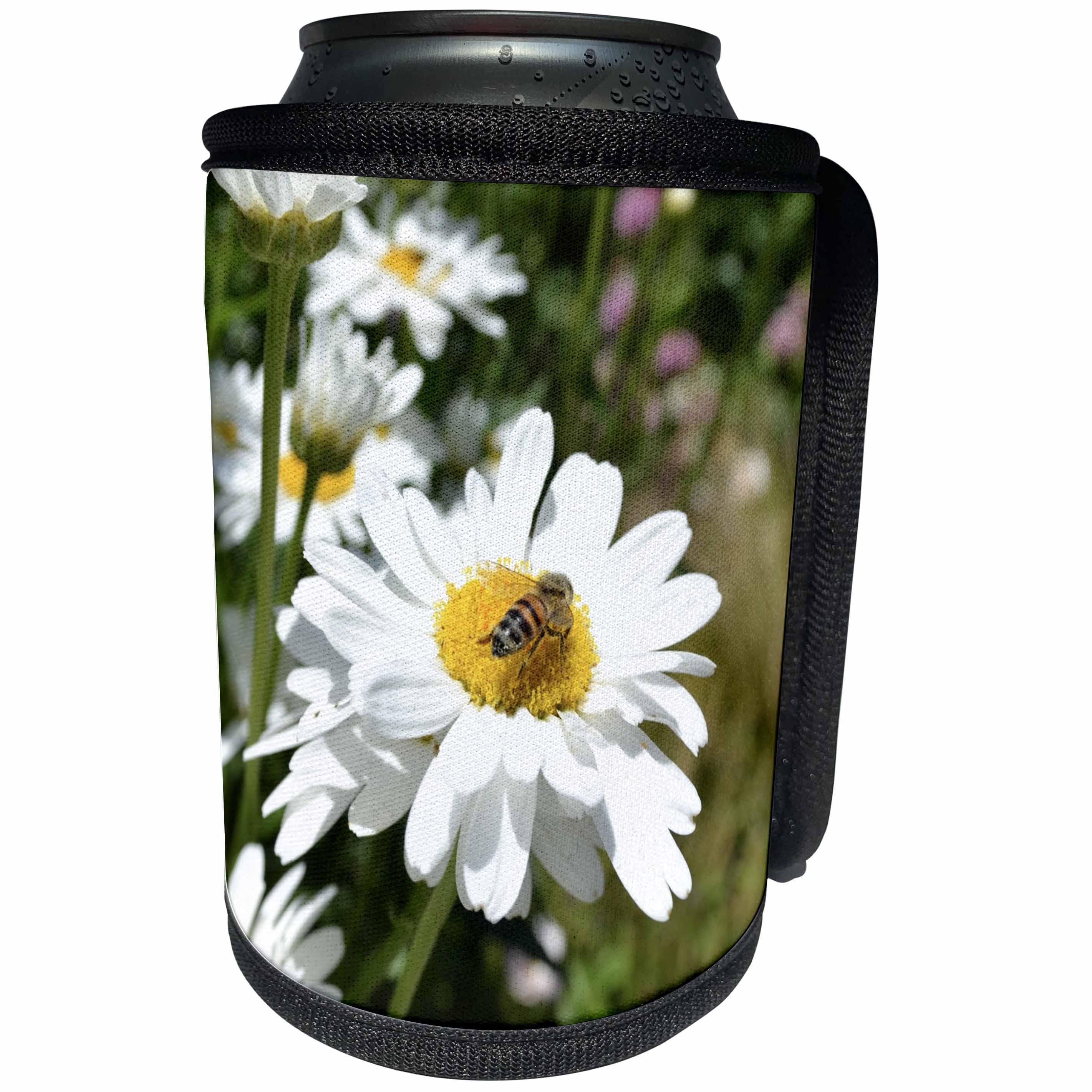 3dRose Patricia Sanders Flowers - Bee on a Daisy - Can Cooler Bottle Wrap (cc_25587)