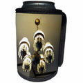 3dRose Jos Fauxtographee- Chandelier - A Beautiful and Very Old Chandelier in The Mizpah Haunted Hotel - Can Cooler Bottle Wrap (cc_255906)