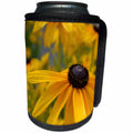 3dRose Patricia Sanders Flowers - Black Eyed Susan Flowers - Can Cooler Bottle Wrap (cc_25592)