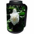 3dRose Jos Fauxtographee- White Rose - A white rose on a bush of green standing out on her own - Can Cooler Bottle Wrap (cc_255923)