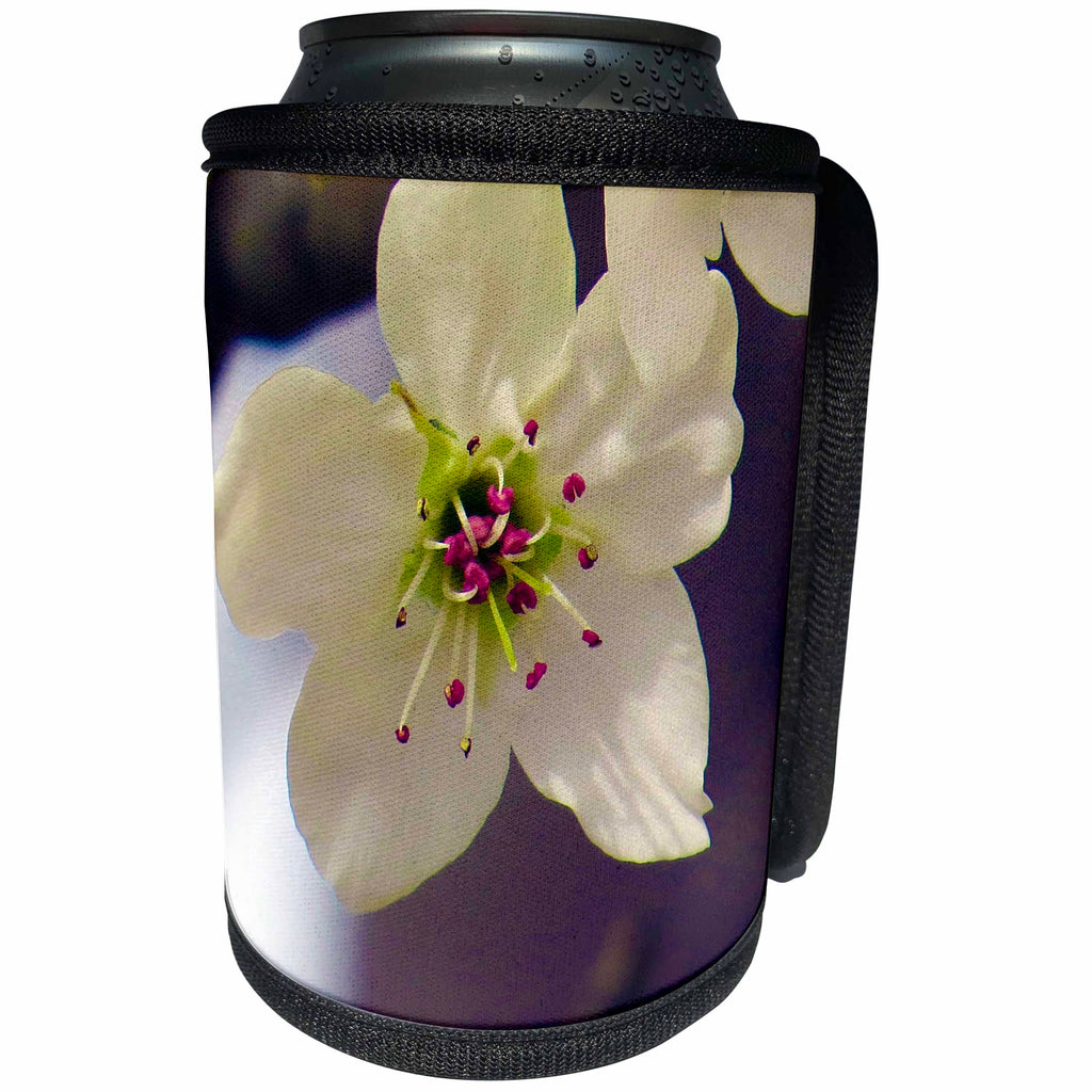 3dRose Jos Fauxtographee- Spring Blossom - A close up of a beautiful blossom on a tree in Springtime - Can Cooler Bottle Wrap (cc_255935)