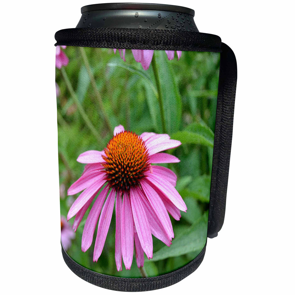 3dRose Patricia Sanders Flowers - Echinacea Floral II - Can Cooler Bottle Wrap (cc_25594)