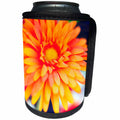 3dRose Jos Fauxtographee- Floral - A close up of a peach and very beautiful flower - Can Cooler Bottle Wrap (cc_255941)