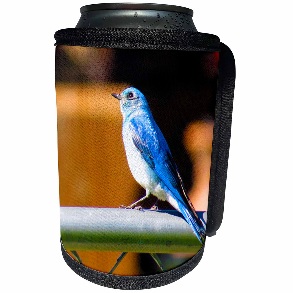 3dRose Jos Fauxtographee- Blue Bird - A sweet Blue Bird sitting on a fence of chain link in Pine Valley UT - Can Cooler Bottle Wrap (cc_255946)
