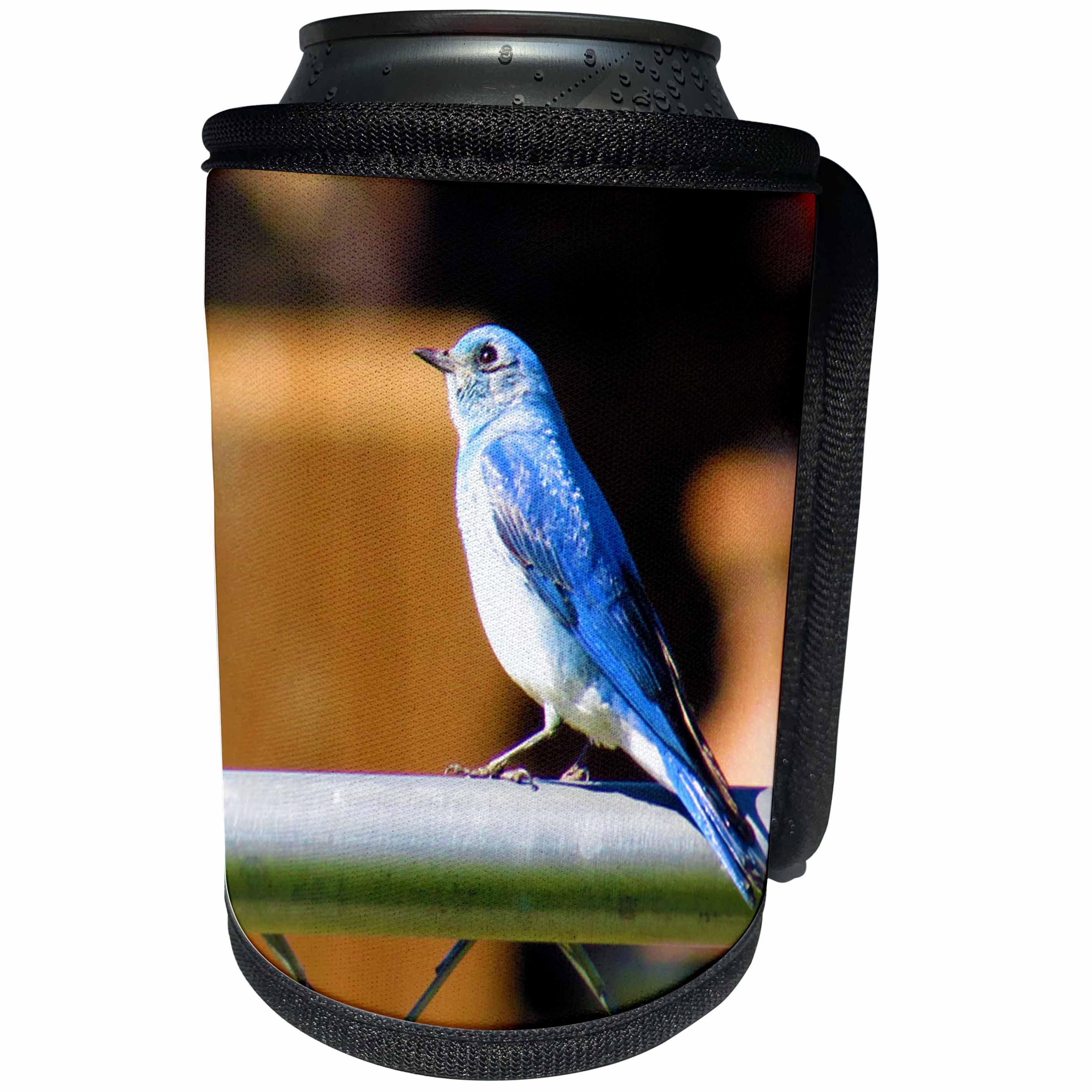 3dRose Jos Fauxtographee- Blue Bird - A sweet Blue Bird sitting on a fence of chain link in Pine Valley UT - Can Cooler Bottle Wrap (cc_255946)
