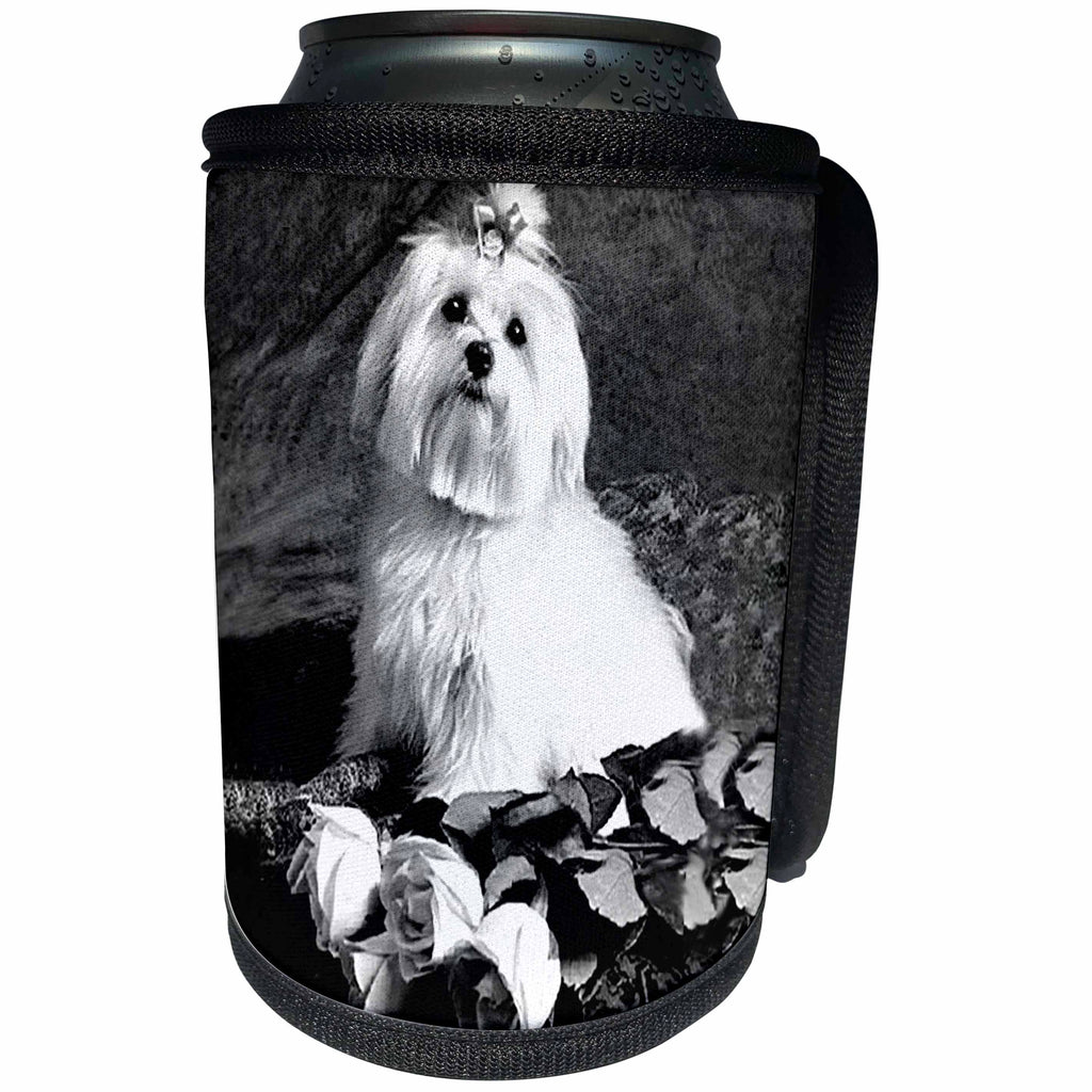 3dRose Dogs Maltese - Maltese - Can Cooler Bottle Wrap (cc_256)